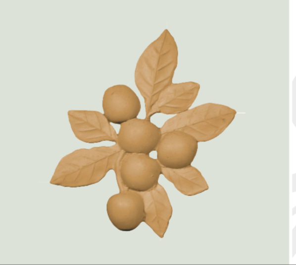 CT10 - Grapes